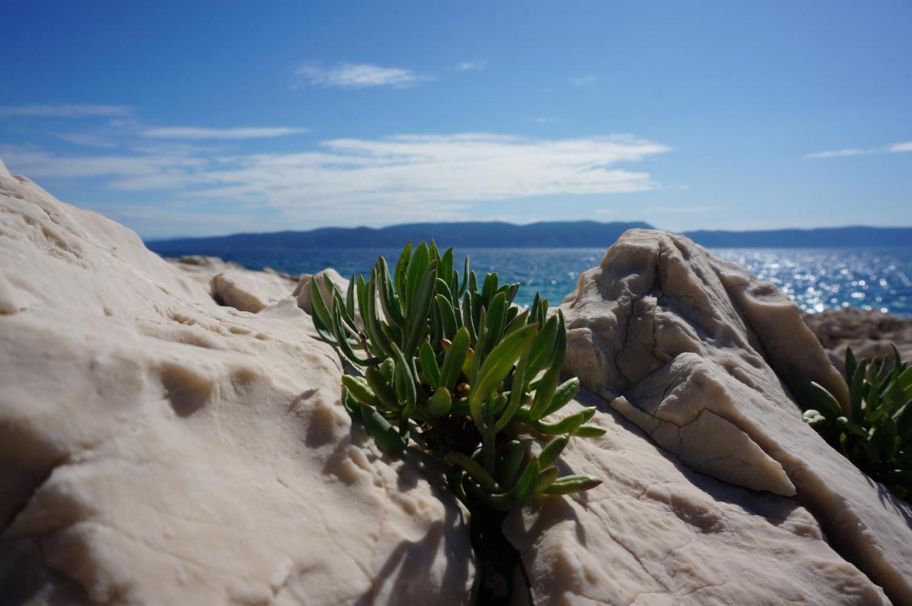 Apartment Lucille In Center Of Rabac Exterior foto